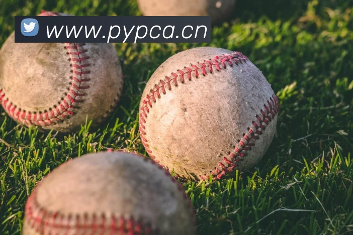 乐鱼体育在线登录官网发展历程