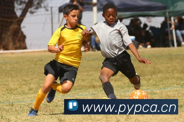 中国女足历任主教练变迁梳理 从建队初期到近年成绩起伏解析